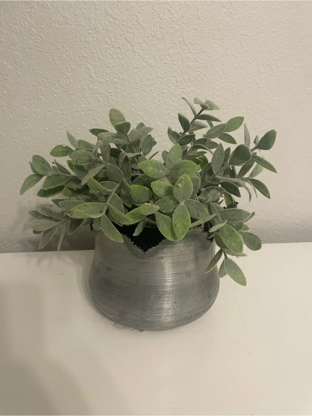 Faux Lamb's Ear Potted Plant in Galvanized Pot